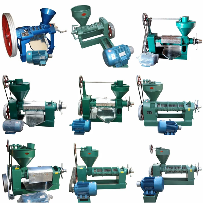 Kenya High Quality Automatic Cold and Hot Presser Shea Nut Beans Linseed Rapeseed Canola Castor Palm Kernel Oil Press Machine