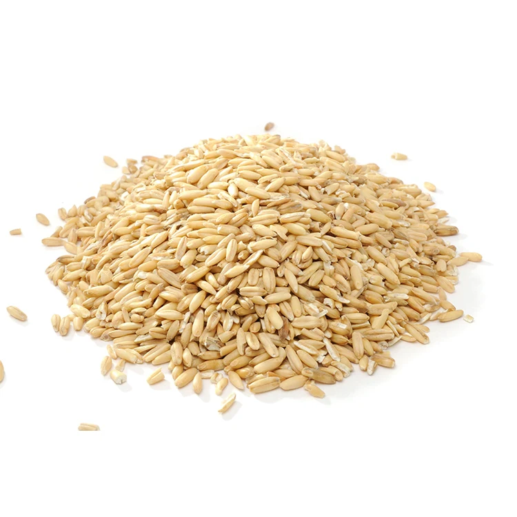new crop good taste oat for food