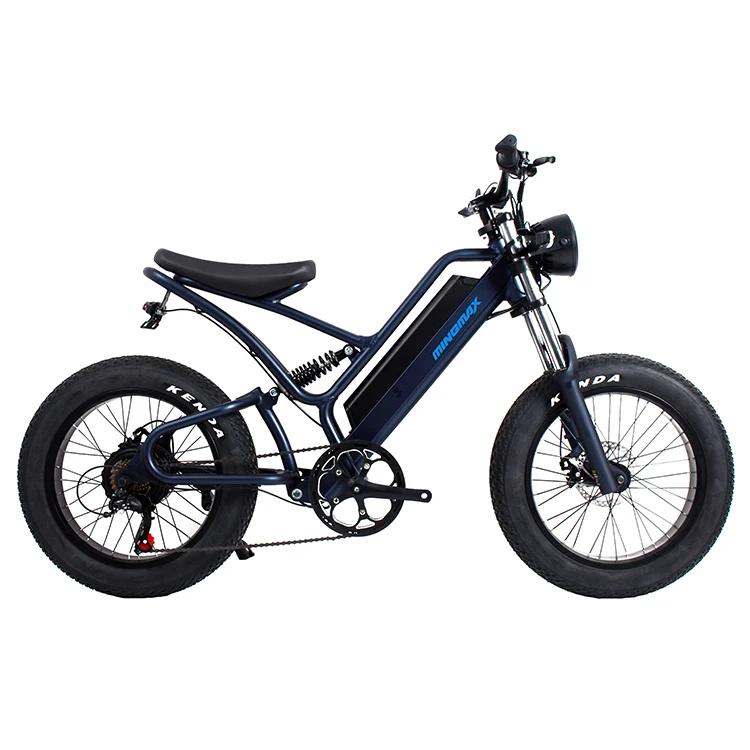 passenger 2 wheel electric fat tired cargo   .Front&Rear suspension  electric cargo bike ,factory electric ebike ,electric cycle