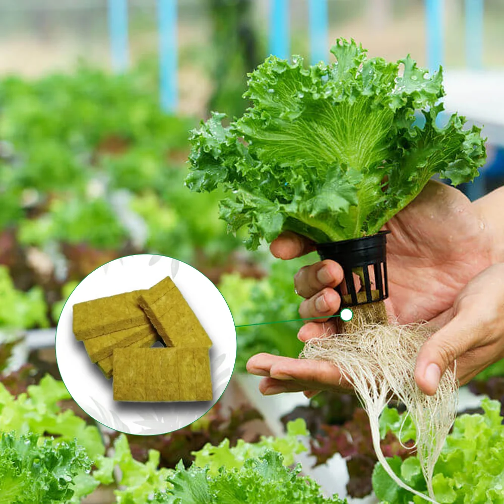 UPuper leafy vegetables growth media rock wool slabs hydroponics for growing seedlings