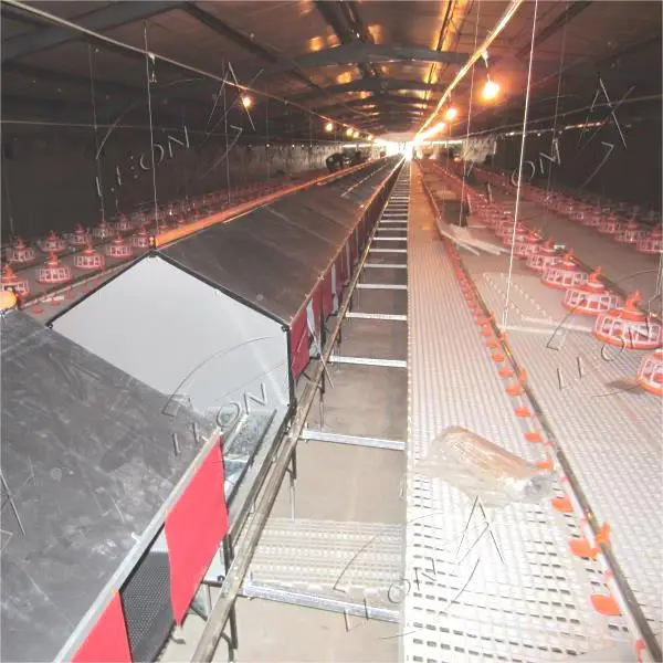 Cheap Price Automatic  Poultry Feeder Equipment For Breeder