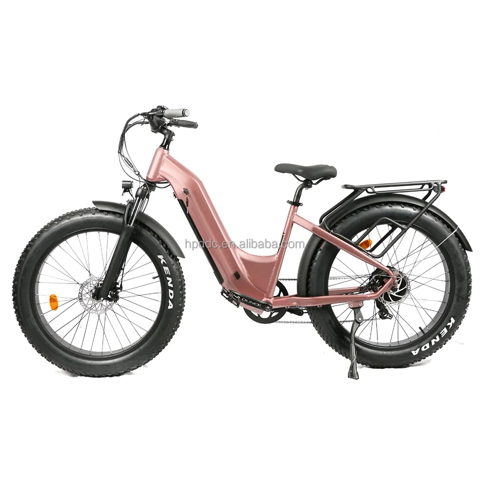 Two-wheel 500W powered motor 2024 electric mountain bike disc brake for both fat tire electric bike 7 speed ebike