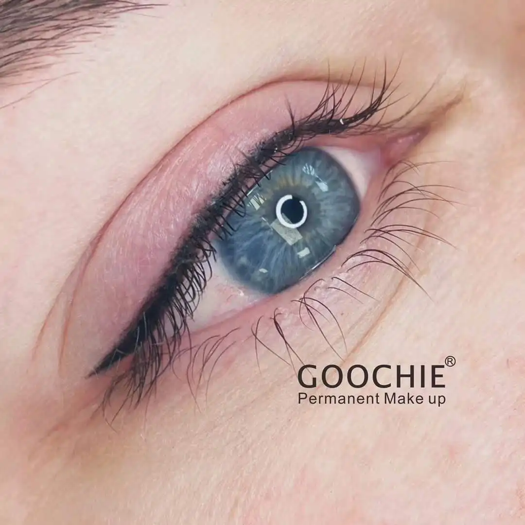 Goochie Digital Micro Pigmentation Eyebrow and Lip PMU Permanent Makeup Machine