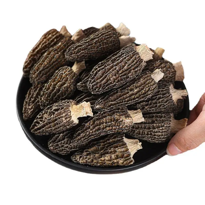 Factory Price Dried Morel Morchella Healthy Mushroom Wholesale In Bulk