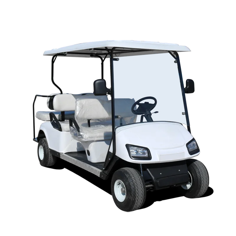Mini Electric Carts Golf Carts Motorized Chinese Utility Lithium Battery Golf Cart