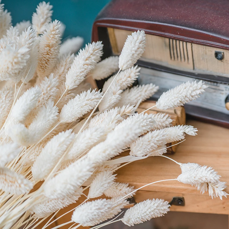 Оптовая продажа, украшения, трава для красоты, Заводская поставка, сушеные цветы, украшение для дома, неувядающий цветок, зайчик, хвост, трава