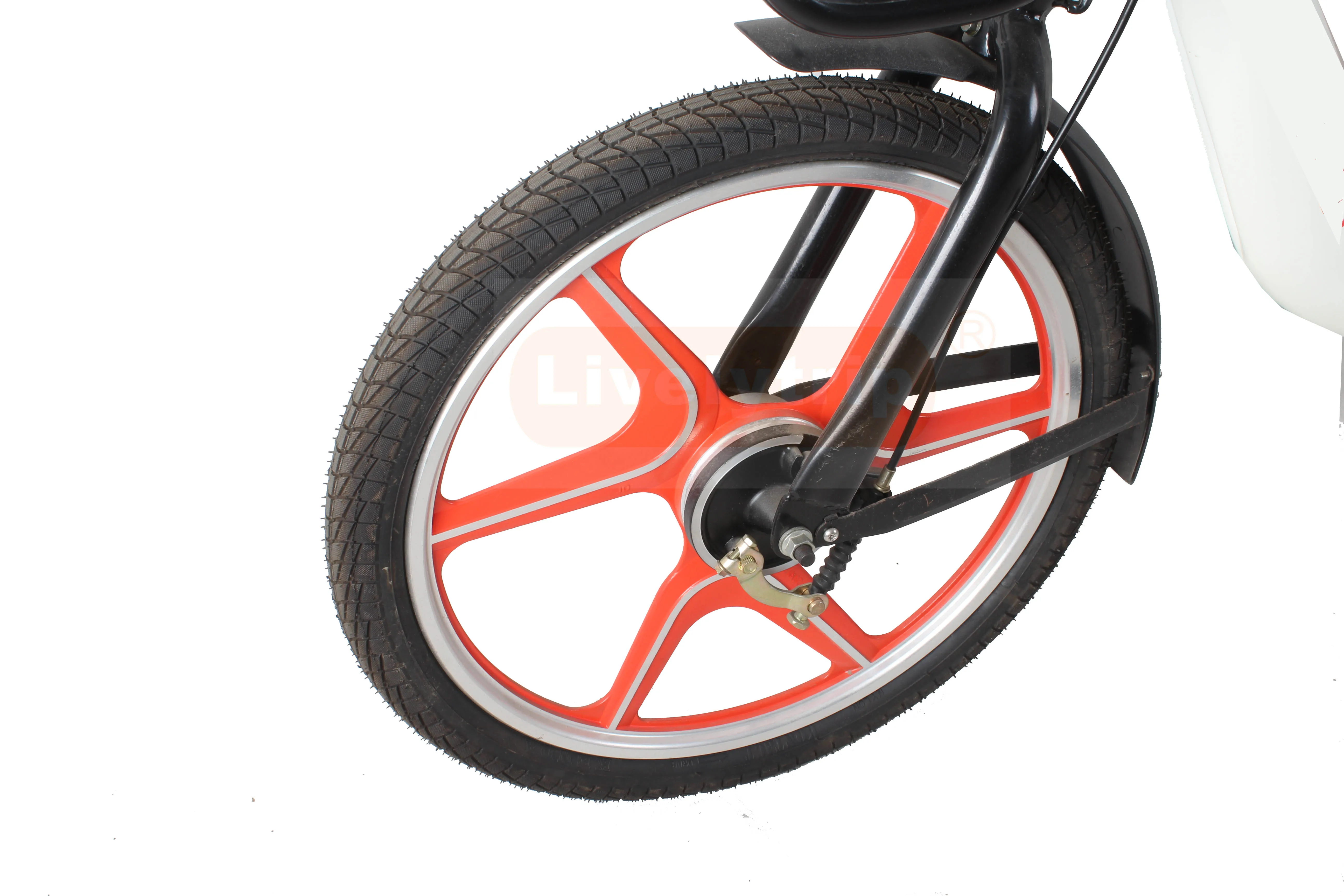 Chinese share electric bike 20 inch 250w rear motor ebike moped bicycle