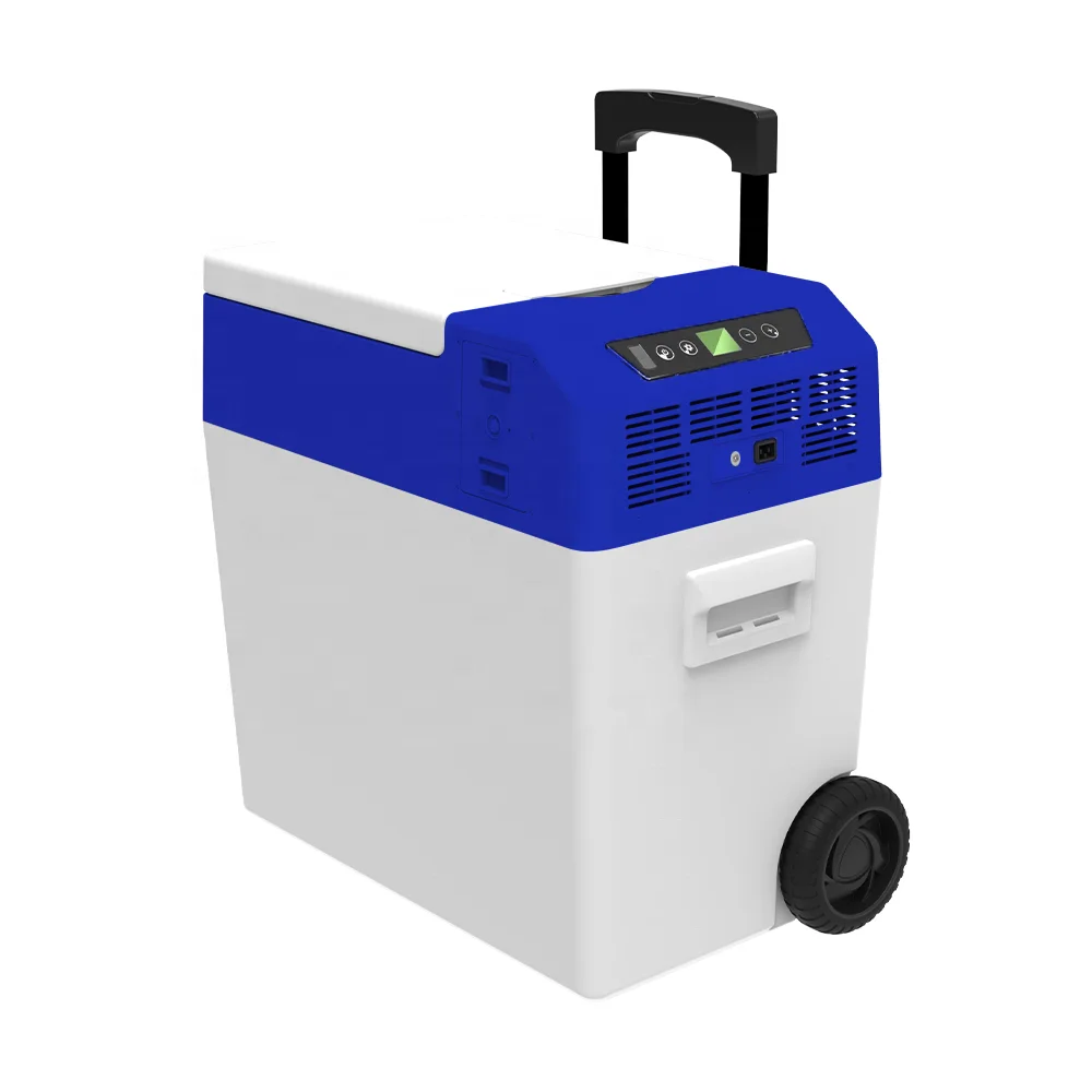 Healthcare Insulted Medication biomedical ultra low temperature refrigerator 30L Blood Transport Box vaccine carrier cold box