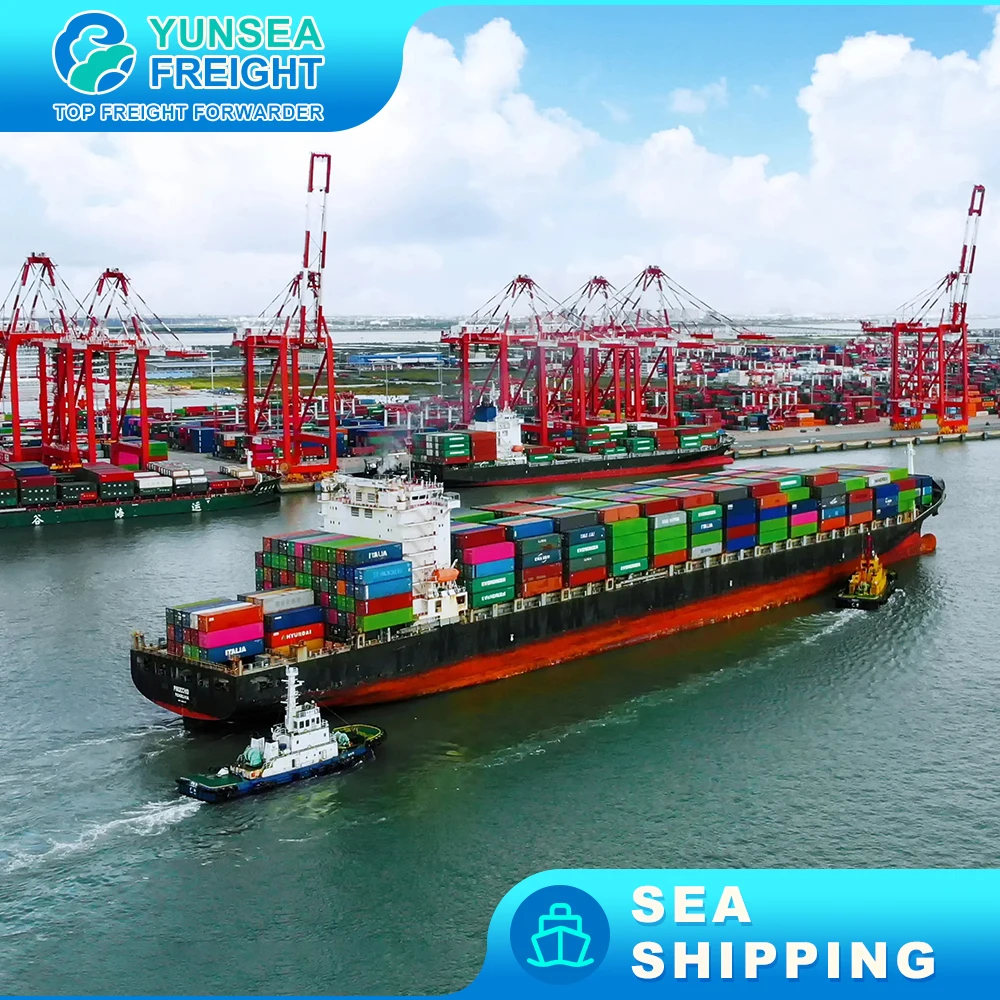 To Berne faster  Cargo DDU DDP Shipping Sea Freight Forwarder Cheapest Charge Rates Ocean Transportation to USA Transit Time