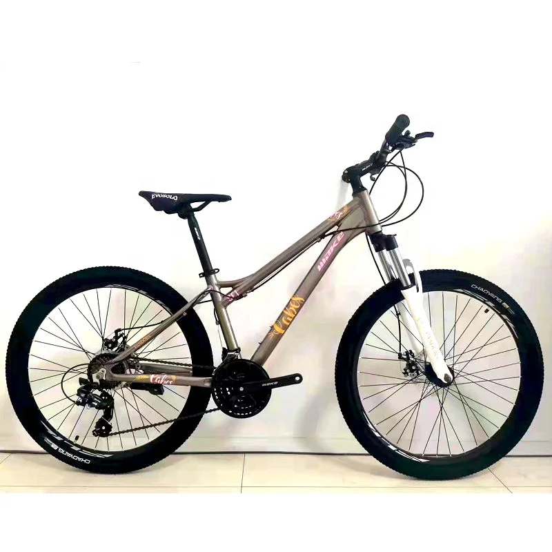 High Carbon Steel Mountain Bike For 3 5 7 9 10 12 13 Years Old Kids Cycle Purple Color / Best Quality Girls And Boys Mtb Baby