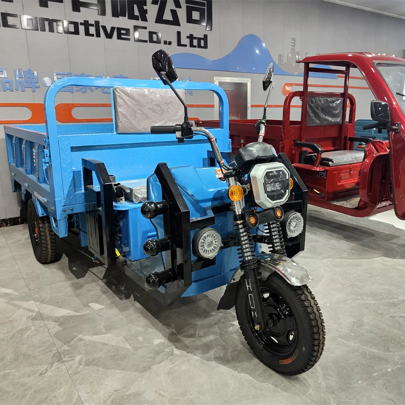 Automatic Reverse Electric Tricycle Ce 60V 1000w Cargo Electric Tricycle for Adult 2 Battery