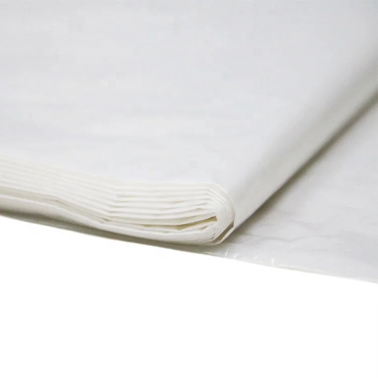 Painting  Plastic Drop Cloth