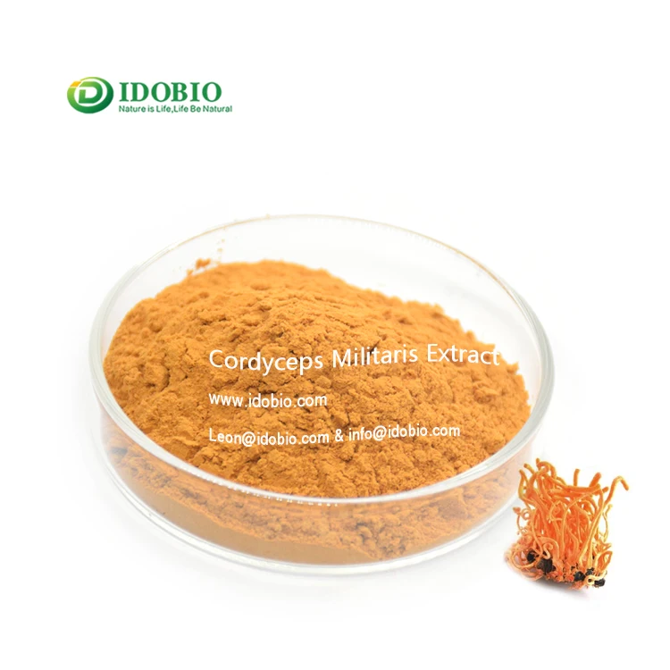 
Immunity enhancing wild siberian chaga/chaga extract polysaccharides 