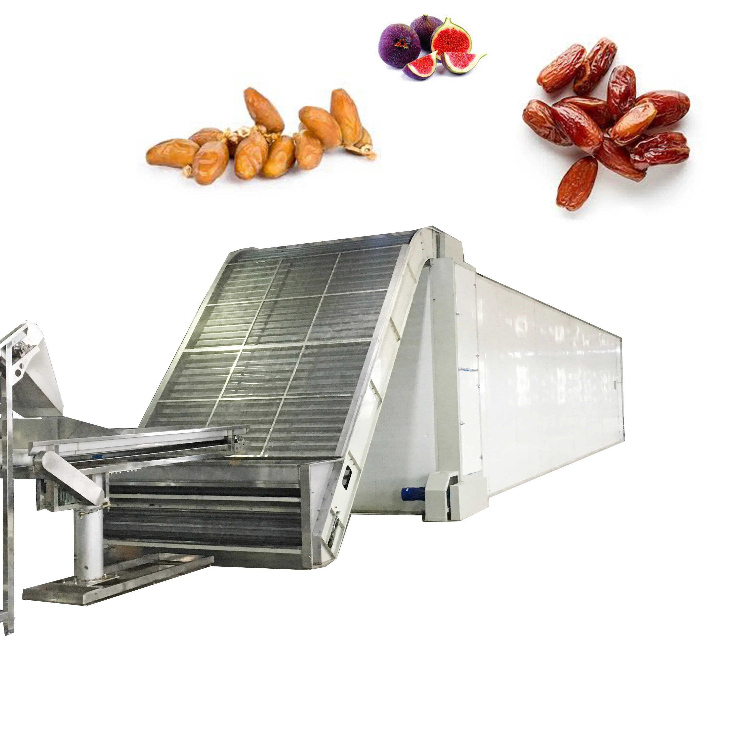 35 tons /24 hrs stainless steel palm dates jujube  dryer machine  for industrial dates washing sorting drying processing machine