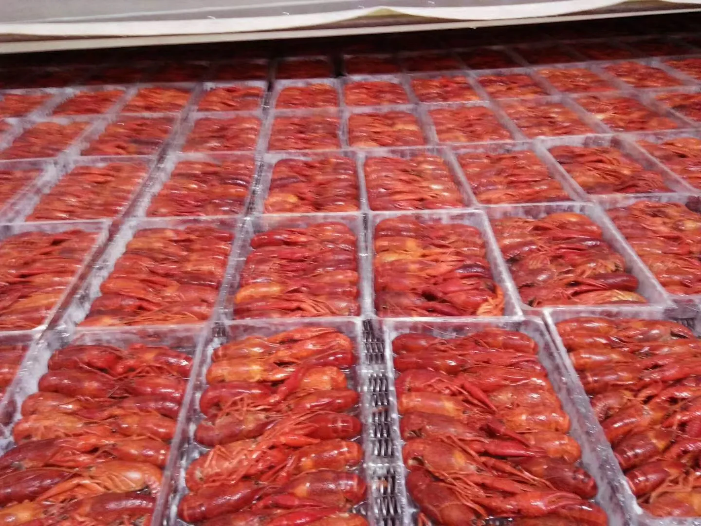 Seasoned cooked frozen hot and spicy crawfish