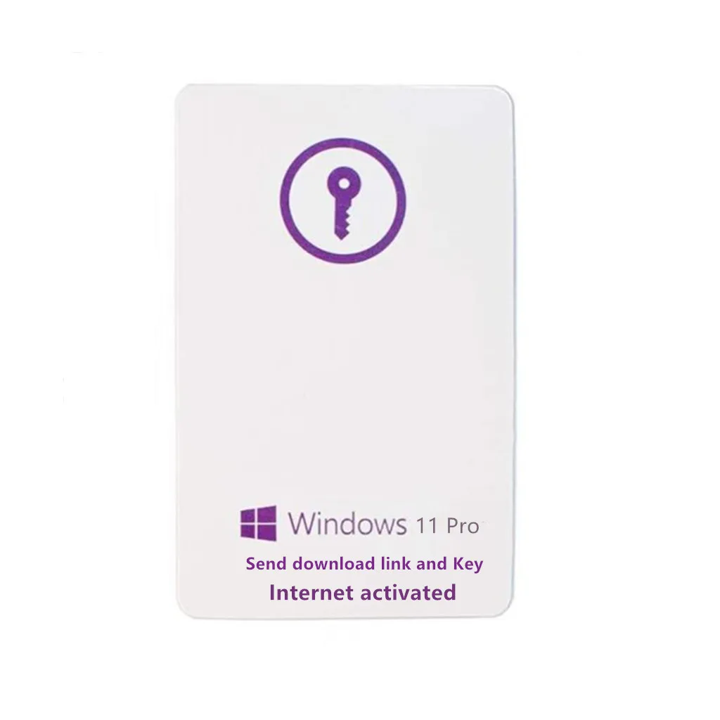 Онлайн интернет 100% активация отправка загружаемая ссылка клавиша Win pro 11 профессиональная Win 11