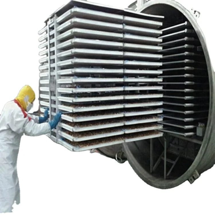 rotary laboratory vegetable freeze dry machine milk lyophilizer vacuum freeze dryer