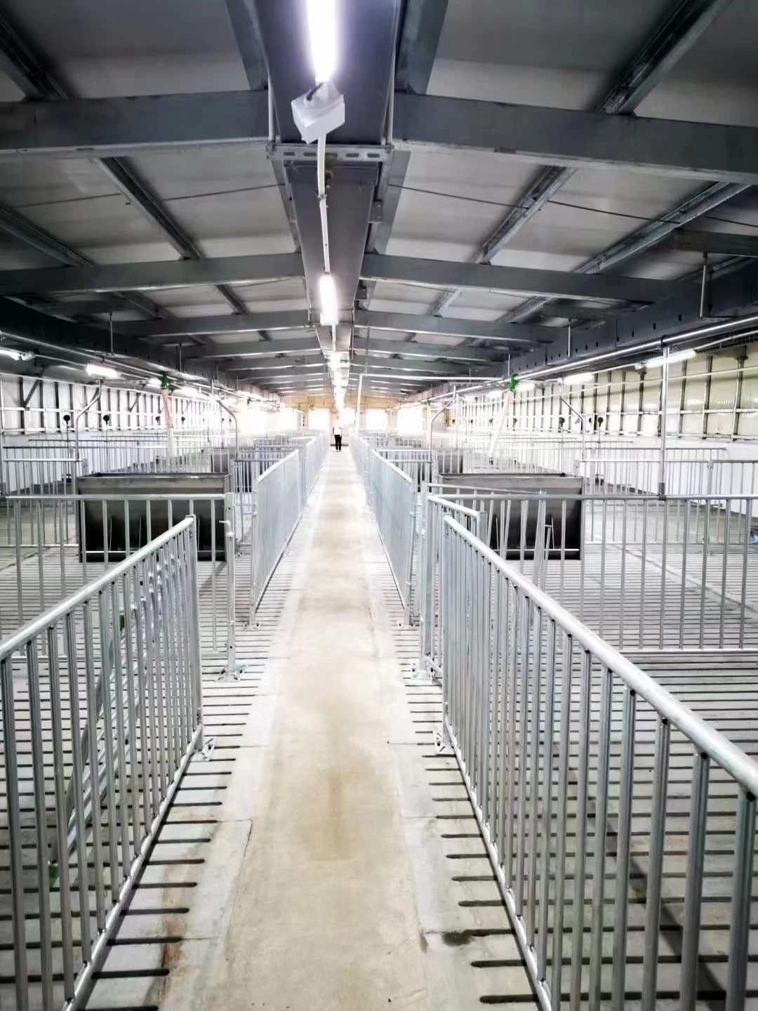 Livestock husbandry equipment manufacturer factory direct supplier hog fatten crate piglets finishing pen sow stall for sale
