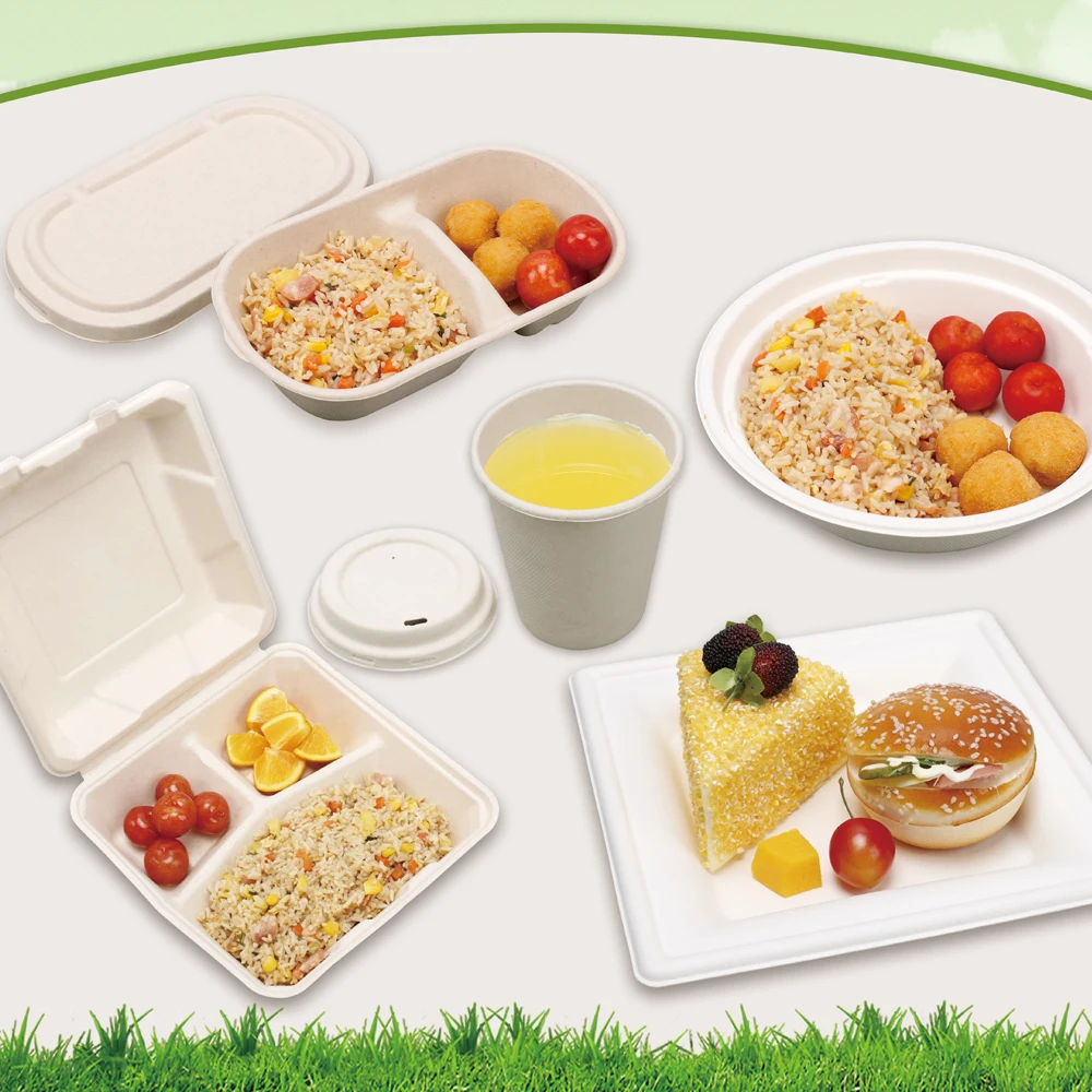 DZ Multi-Station Automatic bagasse Paper Pulp Molding Robot Tableware Thermoforming Machine for food container