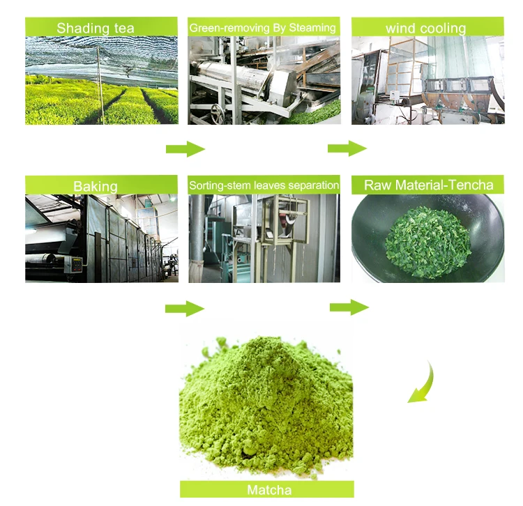 EU Certified Classic Ceremonial Grade Organic Matcha Green Tea Powder for wholesale premium quality and suitable for all use