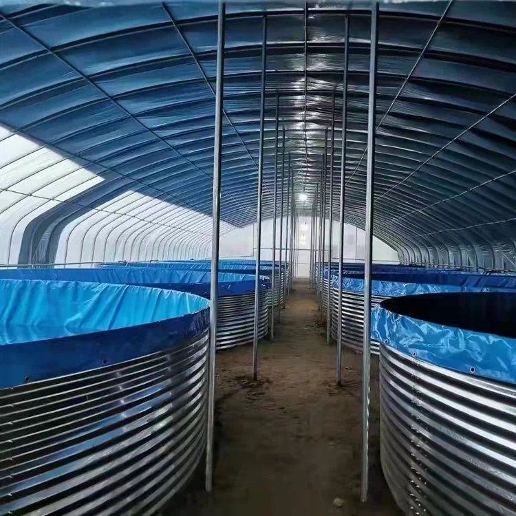 Crab Recirculating Aquaculture System Ras Aquaculture Systems Detachable Tilapia Catfish Shrimp Ras Aquaculture