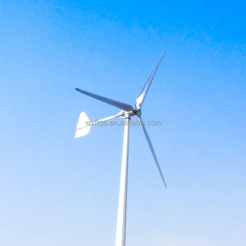Home Use 5KW Wind Turbine Generator 220V 240V 380V AC Factory Price 5000W Wind Turbine with 2600MM Reinforced Glass Fiber Blades
