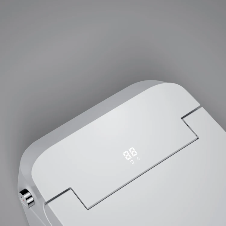 Foot Kick Flushing Bathroom Intelligent Toilet Cold Water Bidet