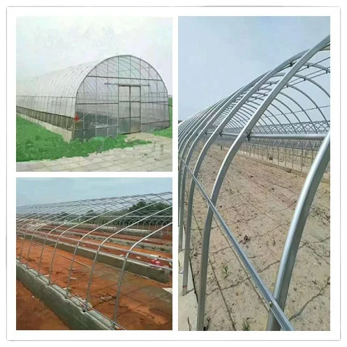 Factory direct price greenhouse frame Agricultural Multi Span Polycarbonate film Complete Set Greenhouse