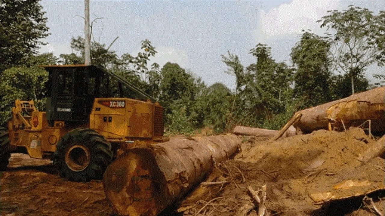 skidder forestry tractor forest tractor timber tractorforest skidder forestry winch forest winch timber log winch