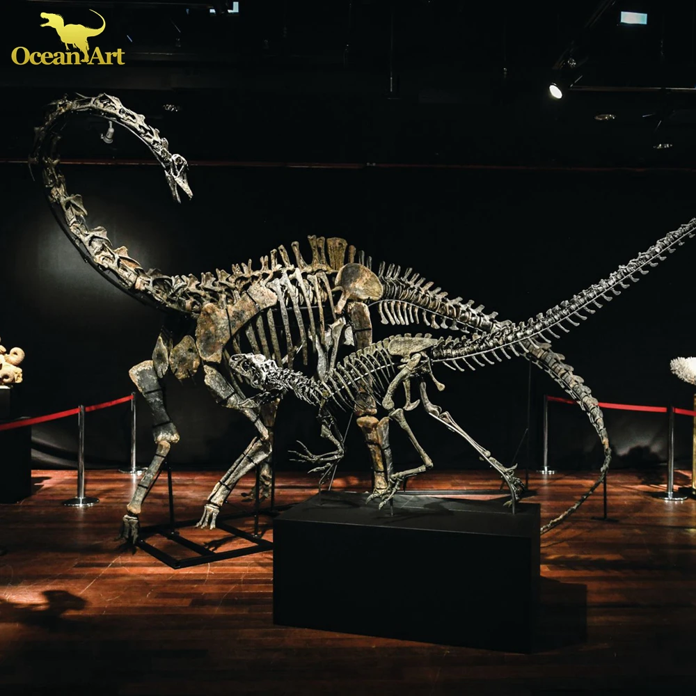 Outdoor Science Museum Exhibits Dinosaur Fossils