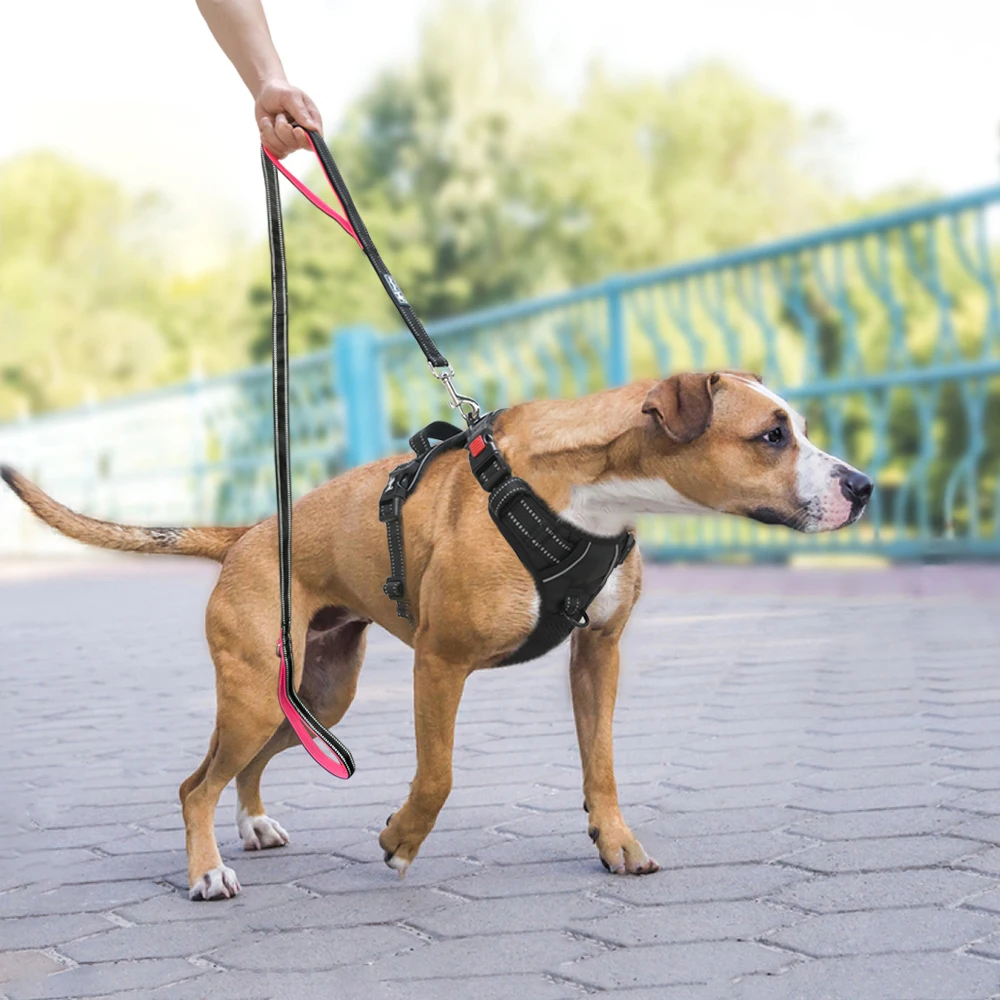 HanYang OEM Custom reflective neoprene double handle dog leash Durable Strong Reflective Nylon Heavy Duty Dog Leash