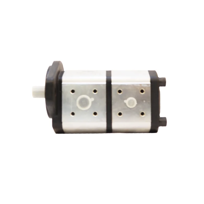 Custom Low Noise Rotary Gear Pump Hydraulic Pump