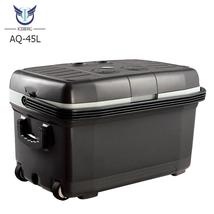 50L Custom portable plastic ice cooling electric mini cooler box