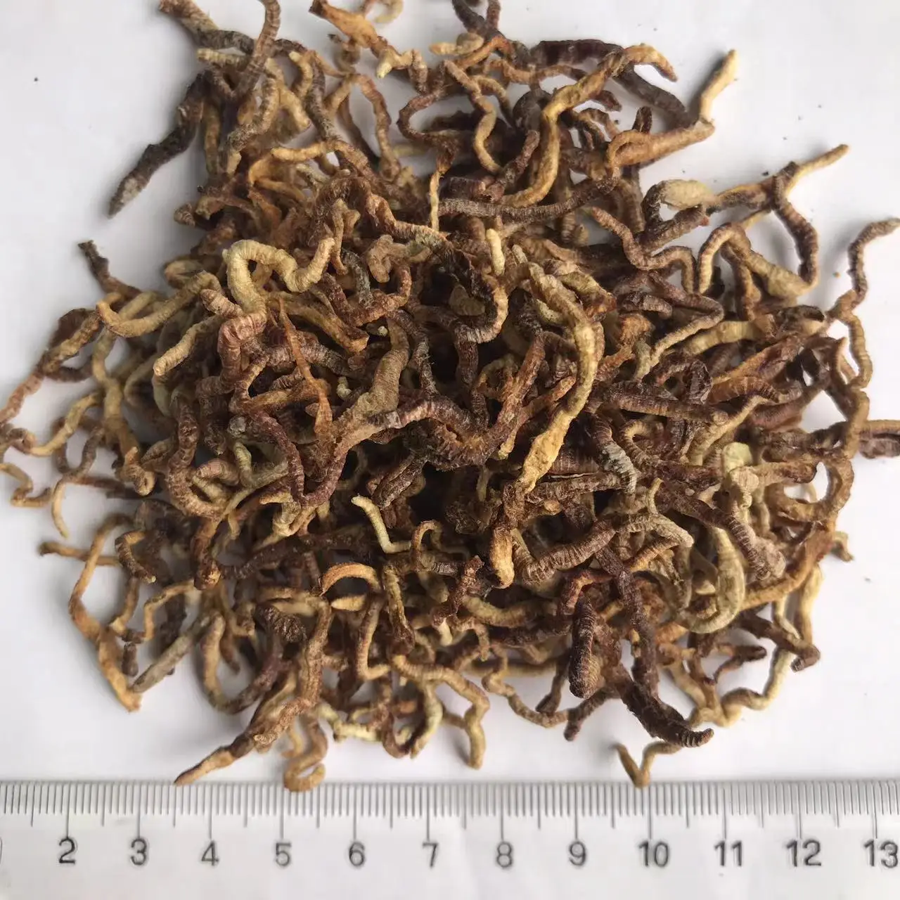 Замораживание сушеных дождевых червей рыбные приманки корм для домашних животных