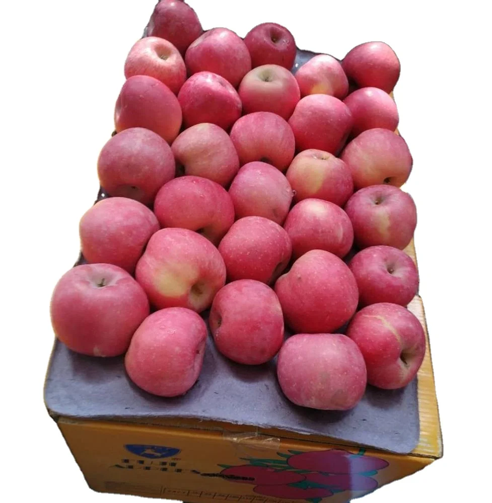 New Crop Chinese Fresh Apple fruit