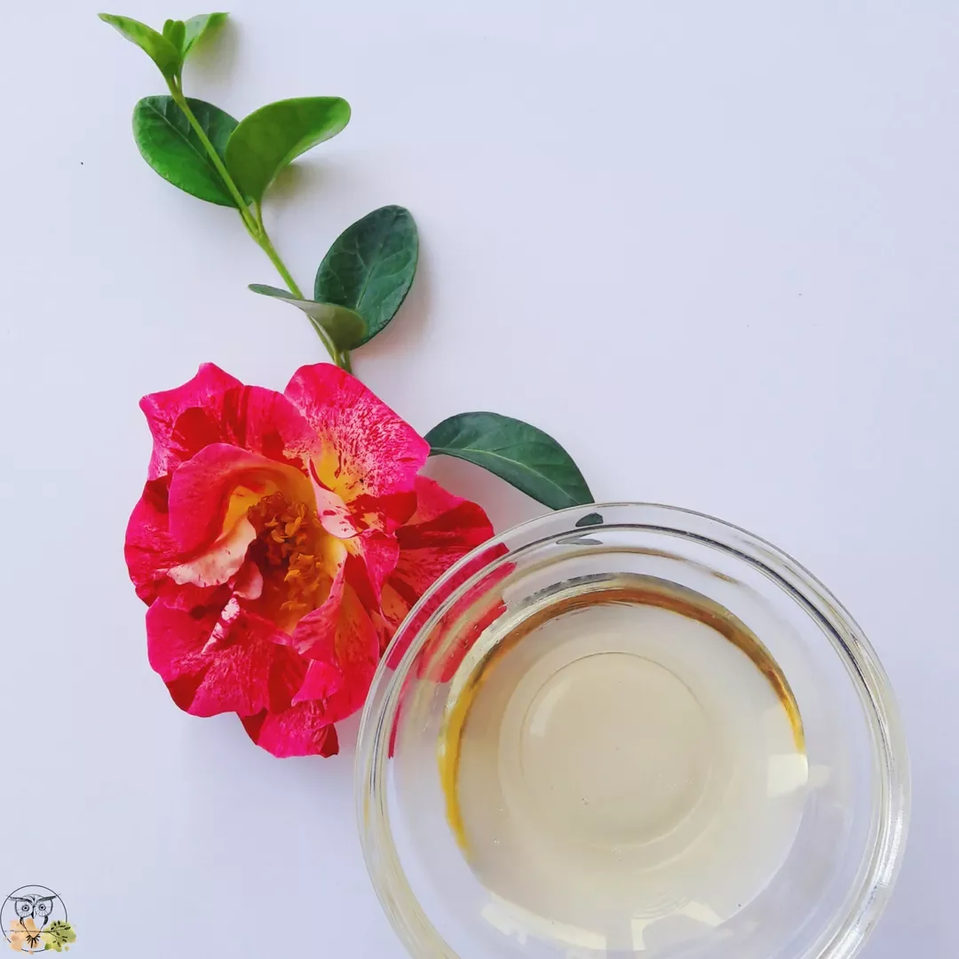 Cold Pressed Organic Physical High Nutritional Value Edible Superior Camellia Seed Oil For Health