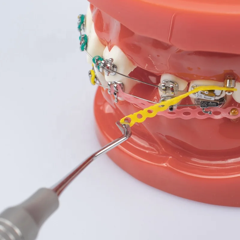 Stainless Steel Multi-functional Dental Orthodontic Double Tips Lingual Tucker For Orthodontic Brackets Instrument