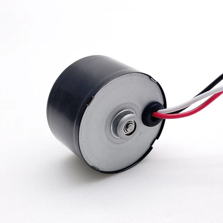 36mm 12V 24V Brushless DC Motor Electric BLDC for Pump Essential DC Motors