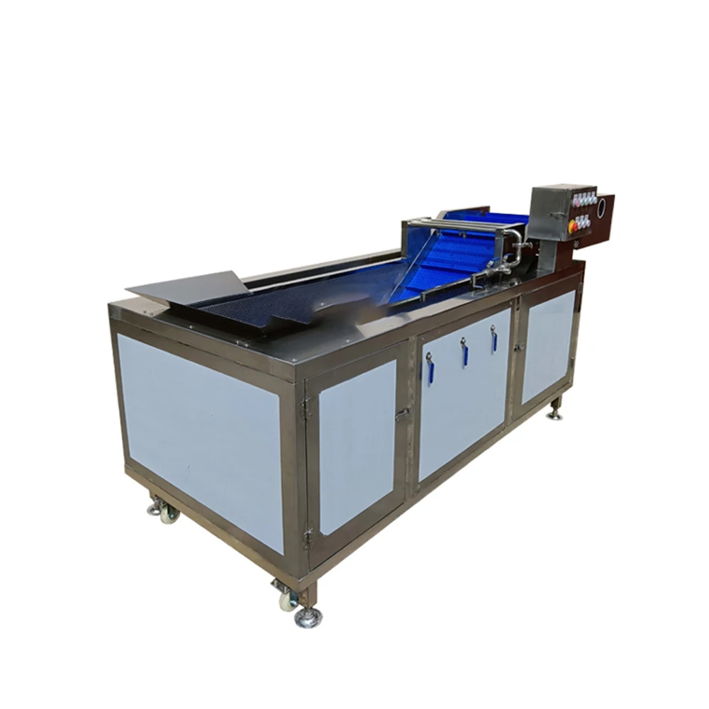 Customizable Automatic Stainless Steel Bubble Ozone washing  Fruit And Vegetable Cleaning Machine