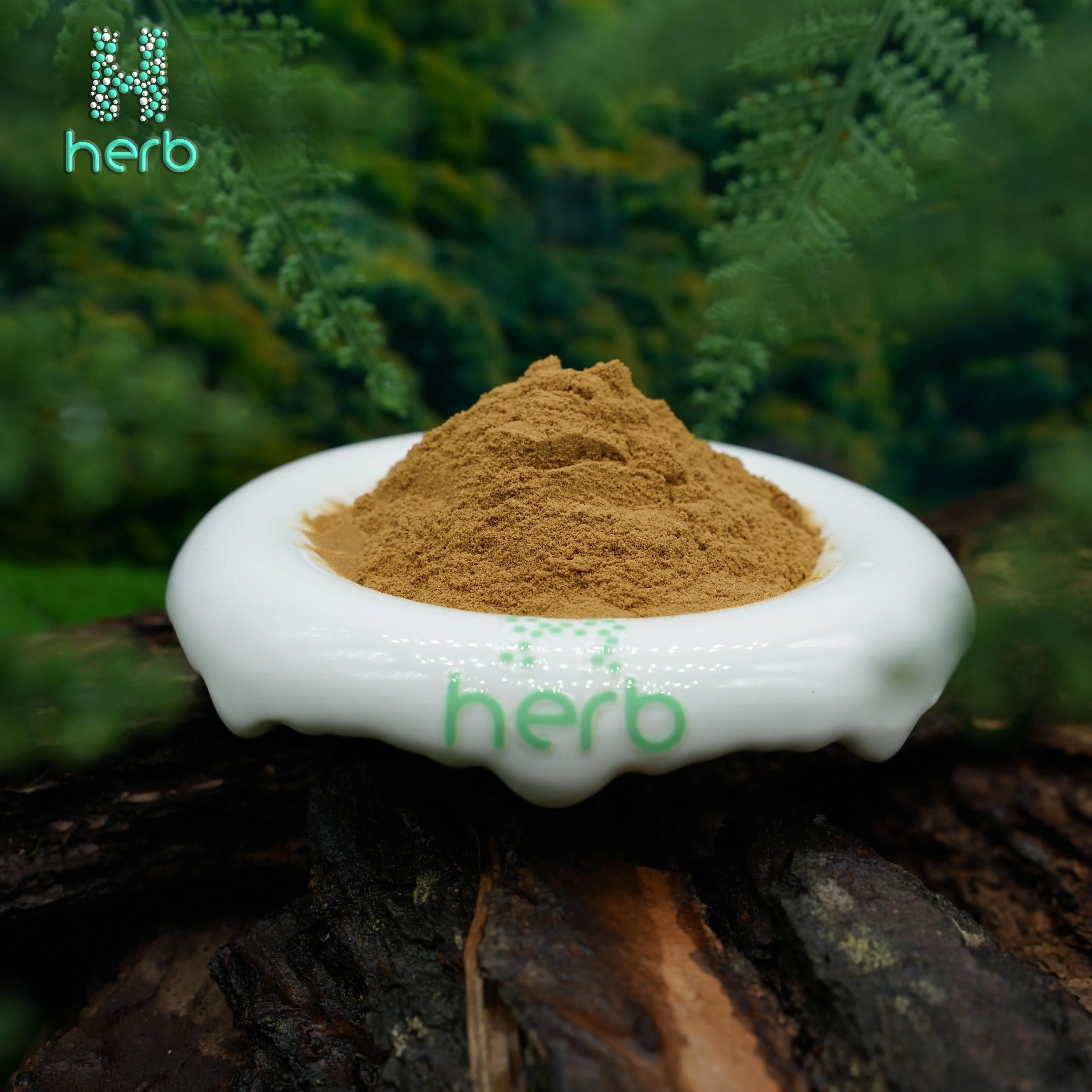High quality icariin 50% 60% 80% 98% epimedium extract powder icariin