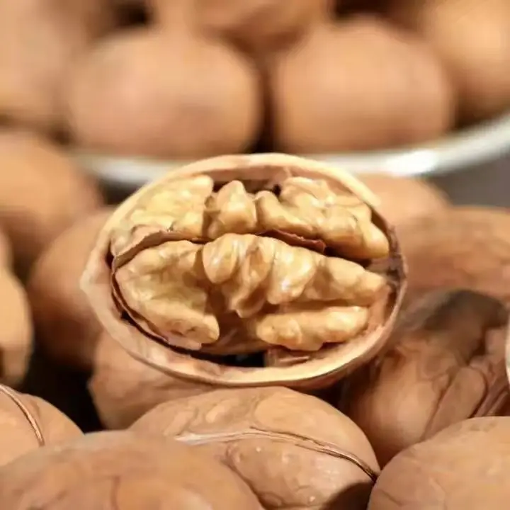 Supplier Wholesale Thin Skin Raw Organic In Shell Price China Walnut