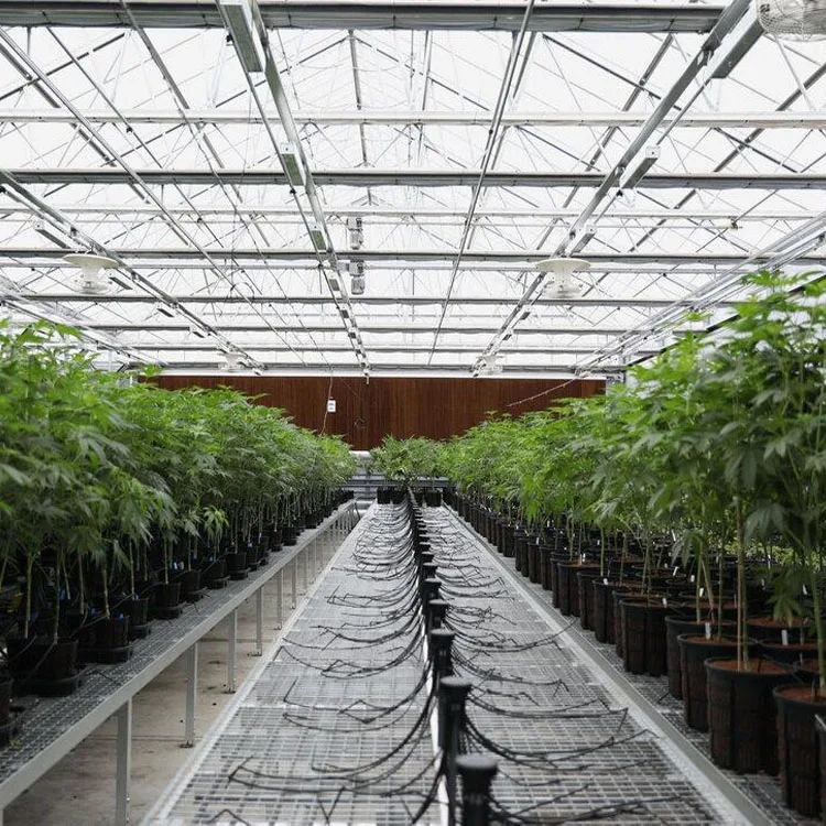 4x8 Plastic Grow Tables Hydroponic Greenhouse Rolling Benches For Sale In Israel