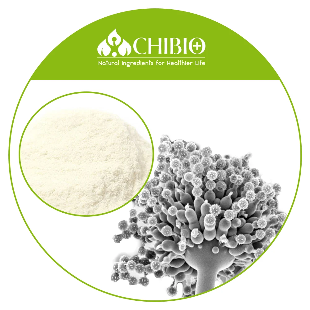100% Natural Water Soluble Aspergillus Niger Chitosan Oligosaccharide <3000Da Powder for Food Dietary Supplement Nasal Spray