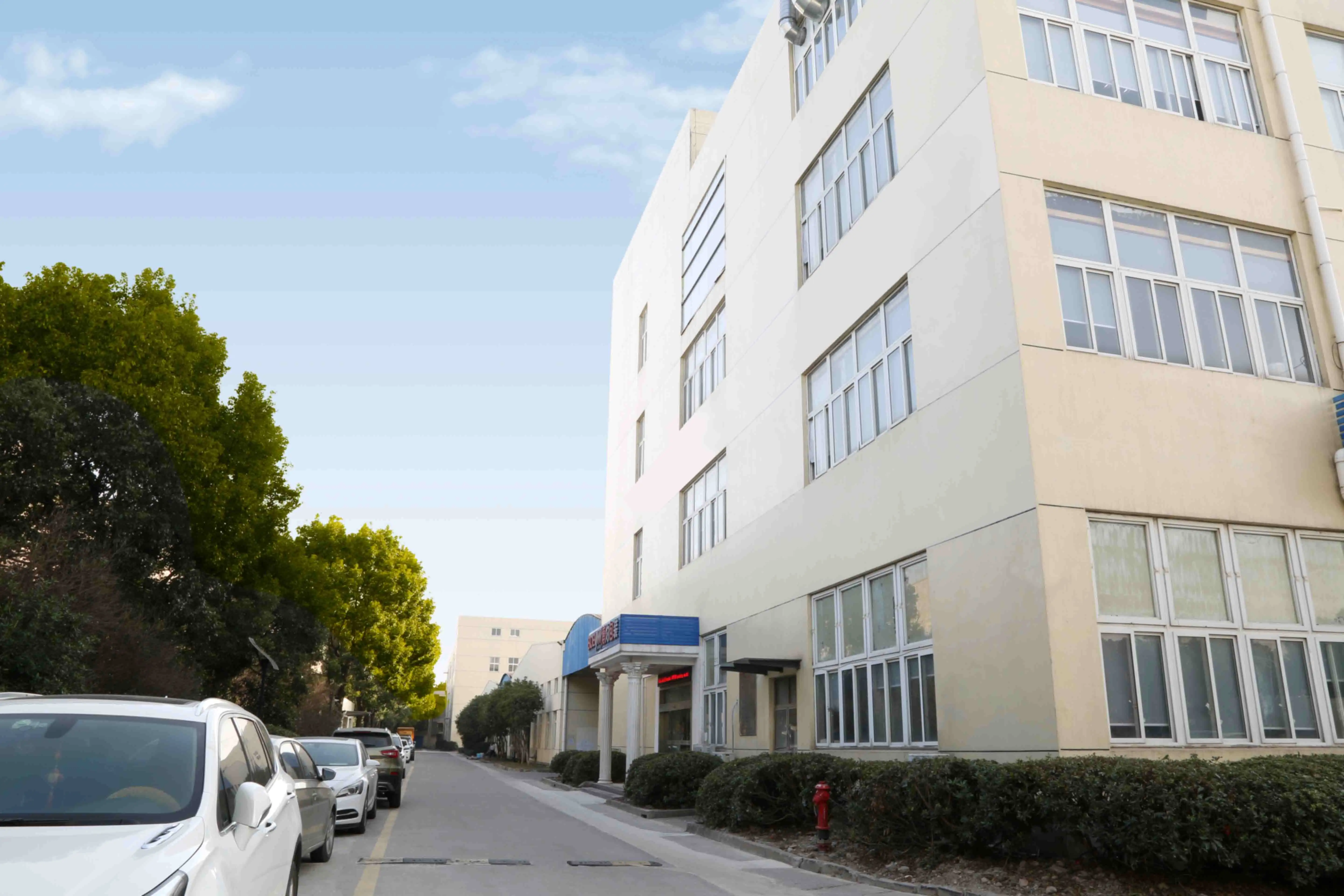 Banana Chips Vertical Fully Automatic Multi Function Pillow Bag Packing Machine For Food