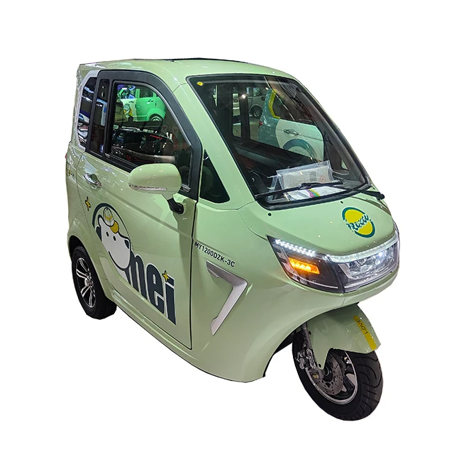 Rickshaw Family Vehicle Mid-east Fully Enclosed Closed Electric 3 Wheels Electric Trike CE LED Display 60V Cargo 1200W Motor