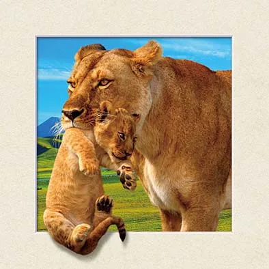New design 3d stereo pictures of 3d lion picture