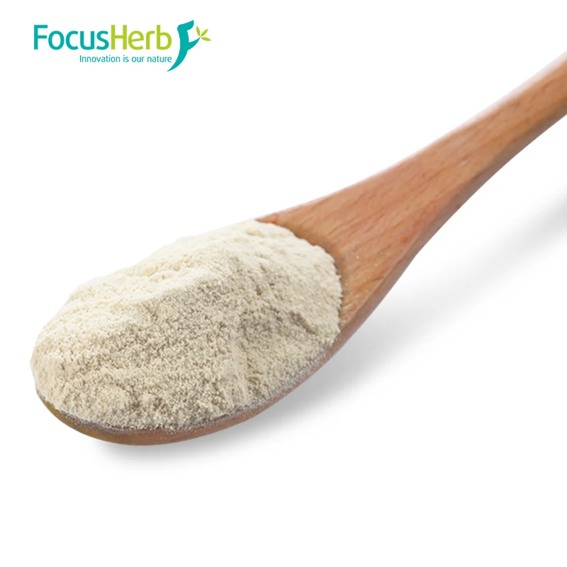 
FocusHerb HCA Powder Hydroxycitric Acid 60%, Garcinia Cambogia Extract 