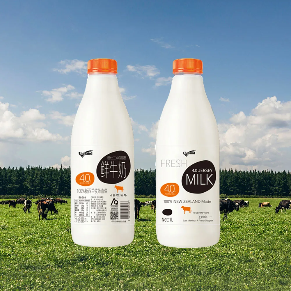 1L Jersey 4.0 Whole Milk is only sourced from cows in New Zealand Tasman Sea Dairy Dream Southern Cross Milky Magic Wholesaler