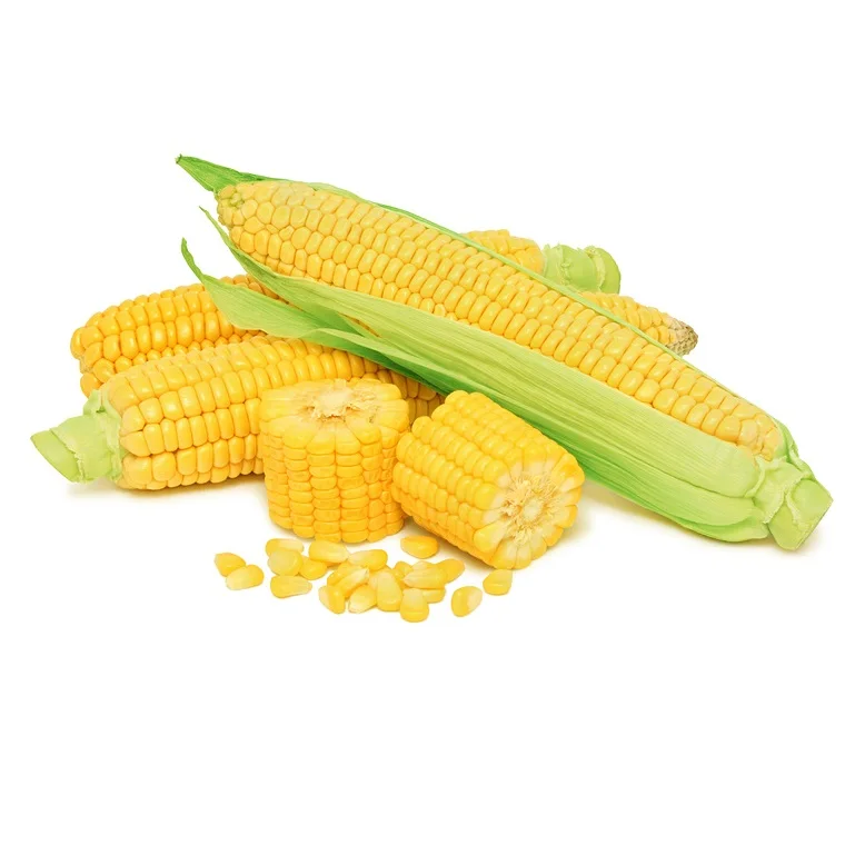 
Good Quality Dried Kelp 