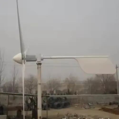 High Performance China 3KW Wind Turbine Manufacturer Produce New Energy Wind Generator